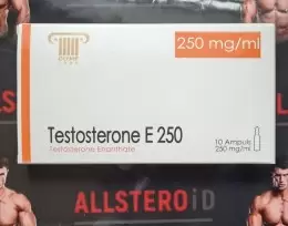 Olymp Testosterone E 250