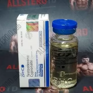 TESTOSTERONE C