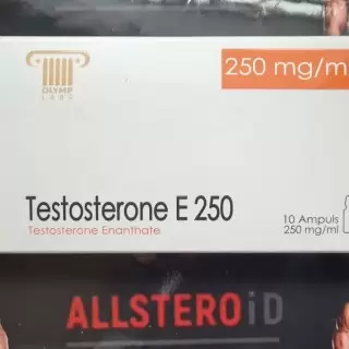 Olymp Testosterone E 250