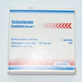 Testosterona Enanthate (Тестостерон энантат) 250mg/ml