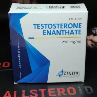 GENETIC TESTOSTERONE E 250MG/ML - ЦЕНА ЗА 1 АМПУЛУ