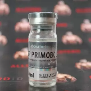 SP Primobol