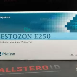 HORIZON TESTOZON E (срок годности до 10.24)