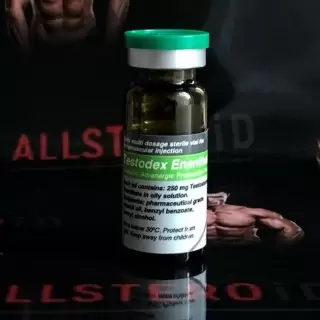 SCIROXX TESTODEX ENANTHATE 250mg/ml - ЦЕНА ЗА 10МЛ