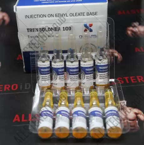 Trenbolone A 100 (QPharm)