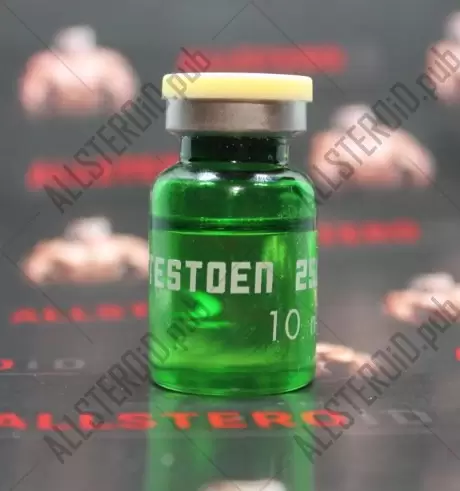 TestoEn 250 (Chang Pharma)