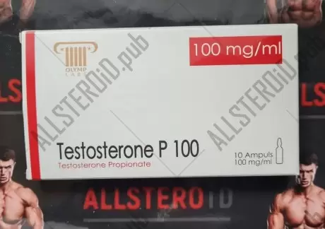 Olymp Testosterone P 100