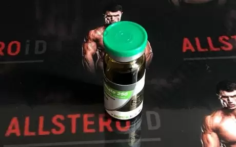 SCIROXX TESTODEX ENANTHATE 250mg/ml - ЦЕНА ЗА 10МЛ