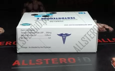 ICE TESTOSTERONE E 250mg/ml - ЦЕНА ЗА 1 АМПУЛУ