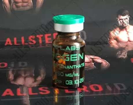 GENETIC TESTOSTERONE E 250mg/ml - ЦЕНА ЗА 10МЛ