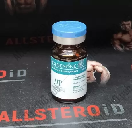 MAGNUS BOLDENONE