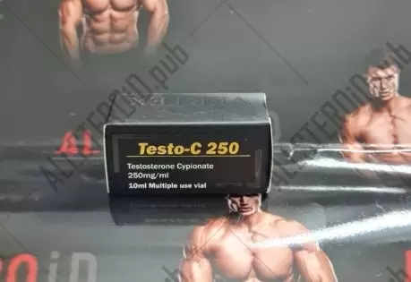 VERTEX TESTO-C