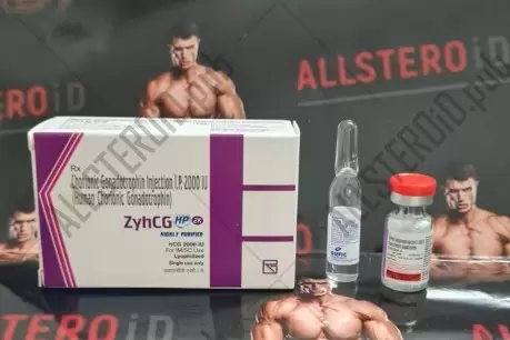 ZyHCG 2000iu (аптека индия)