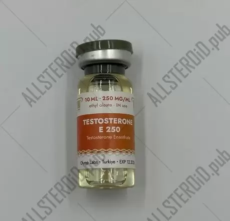 Testosterone E 300 (Olymp Labs)