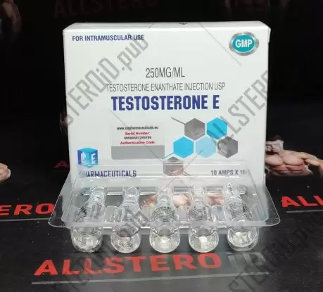 ICE TESTOSTERONE E 250mg/ml - ЦЕНА ЗА 1 АМПУЛУ