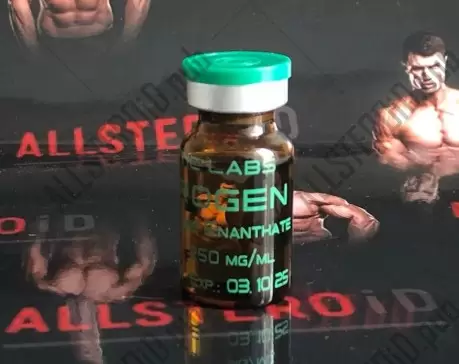 GENETIC TESTOSTERONE E 250mg/ml - ЦЕНА ЗА 10МЛ