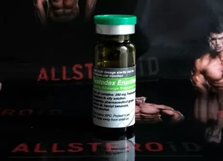 SCIROXX TESTODEX ENANTHATE 250mg/ml - ЦЕНА ЗА 10МЛ