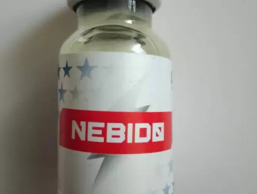 GSS NEBIDO