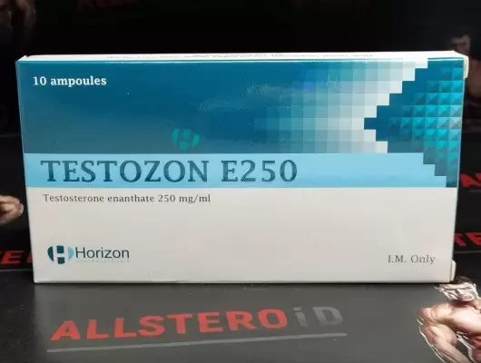 HORIZON TESTOZON E