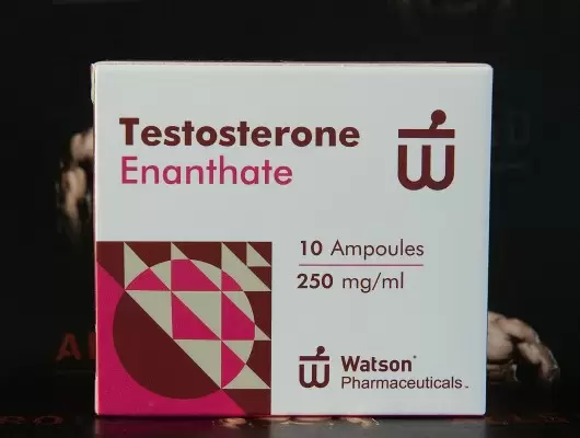 Watson New Testosterone Enanthate