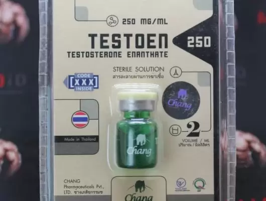 TestoEn 250 (Chang Pharma)