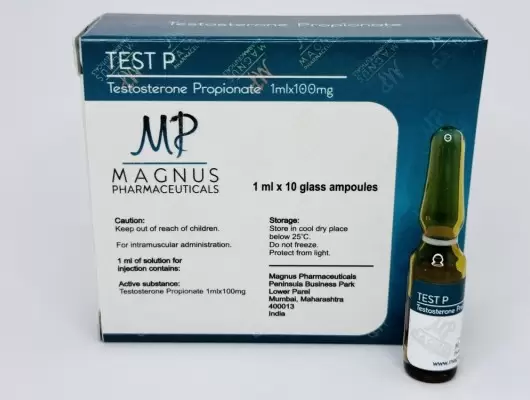 MAGNUS TEST P