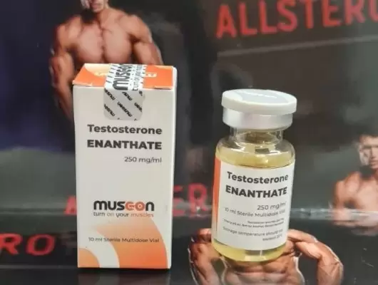 Musc-on Testosterone Enanthate 250mg/ml - цена за 10 мл